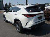 New 2026 Lexus NX 350 AWD w/ Premium Package image 3
