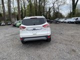 Used 2014 Ford Escape Titanium image 6