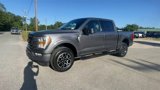 Used 2023 Ford F150 XLT w/ Equipment Group 302A High image 4