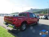 Used 2022 Ford F150 XLT w/ Equipment Group 302A High image 3
