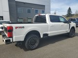 New 2025 Ford F250 Platinum image 6
