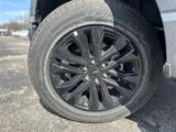 New 2025 Ford F150 XLT w/ Equipment Group 303A High image 4