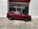 Used 2024 Toyota RAV4 XLE Premium image 4