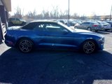 Used 2023 Ford Mustang Premium image 4
