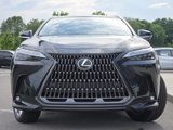 New 2025 Lexus NX 300h AWD w/ Luxury Package image 3