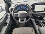 New 2025 Ford F150 XLT w/ Equipment Group 302A MID image 3