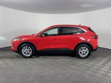Used 2024 Ford Escape Active w/ Tech Pack #1 image 3