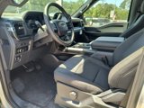 New 2025 Ford F150 STX w/ Equipment Group 200A image 2