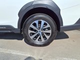 Certified 2025 Subaru Outback Premium image 5