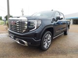 New 2025 GMC Sierra 1500 Denali w/ Denali Reserve Package image 4