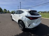 Used 2025 Lexus NX 350 AWD image 6