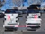New 2025 Hyundai Palisade Calligraphy image 5