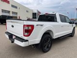 Used 2023 Ford F150 Lariat w/ Equipment Group 502A High image 3