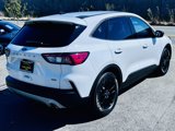 Used 2020 Ford Escape SE Sport image 5