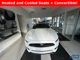 Used 2017 Ford Mustang GT Premium image 3