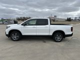 New 2025 Honda Ridgeline TrailSport image 2