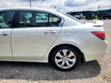 Used 2009 Honda Accord EX-L image 4