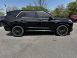 New 2025 Hyundai Palisade Calligraphy image 5