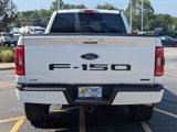 Used 2022 Ford F150 XLT w/ Equipment Group 302A High image 4