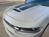 New 2023 Dodge Charger Scat Pack w/ Daytona Edition Group image 4