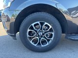 Used 2024 Ford Expedition XLT image 4