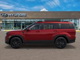 New 2025 Hyundai Santa Fe Calligraphy image 3
