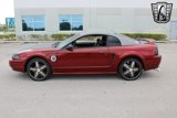 Used 2000 Ford Mustang Coupe image 4