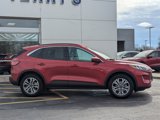Used 2022 Ford Escape SEL image 2