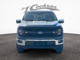 New 2025 Ford F150 XLT w/ Equipment Group 303A High image 2