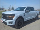 New 2025 Ford F150 XLT image 2