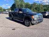 Used 2013 Ford F150 XLT w/ Luxury Equipment Group image 3