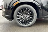 New 2025 Hyundai Palisade Calligraphy image 5