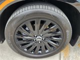 New 2025 Hyundai Palisade Calligraphy image 5
