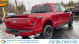 New 2025 Ford F150 STX w/ STX Black Appearance Package image 3