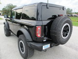New 2025 Ford Bronco Badlands image 5
