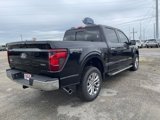 New 2025 Ford F150 XLT w/ Equipment Group 302A MID image 4