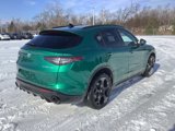 New 2025 Alfa Romeo Stelvio Sprint image 5