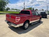Used 2010 Ford F150 XLT image 4