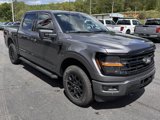 New 2025 Ford F150 XLT image 4