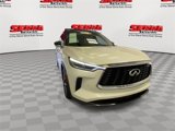Used 2025 INFINITI QX60 Autograph w/ Cargo Package image 3