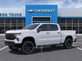 New 2025 Chevrolet Silverado 1500 Custom Trail Boss w/ Turbomax Blackout Package image 3
