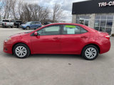 Used 2019 Toyota Corolla LE image 3