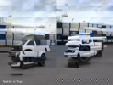 New 2025 Ford F150 Platinum image 2
