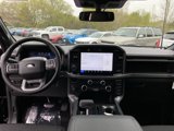 New 2025 Ford F150 XLT image 6