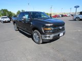 New 2024 Ford F150 XLT w/ Equipment Group 302A MID image 3
