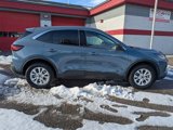 Used 2024 Ford Escape Active w/ Tech Pack #1 image 3