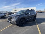New 2025 Subaru Ascent Bronze Edition image 3