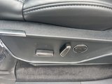New 2025 Ford F150 Platinum w/ Equipment Group 702A High image 4