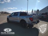 New 2025 Ford F150 XLT w/ Equipment Group 302A MID image 3