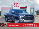 New 2025 Toyota Tundra SR5 image 1